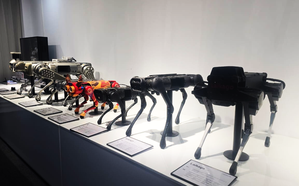 EzeMind AI - South Africa's partner for AI & robotics